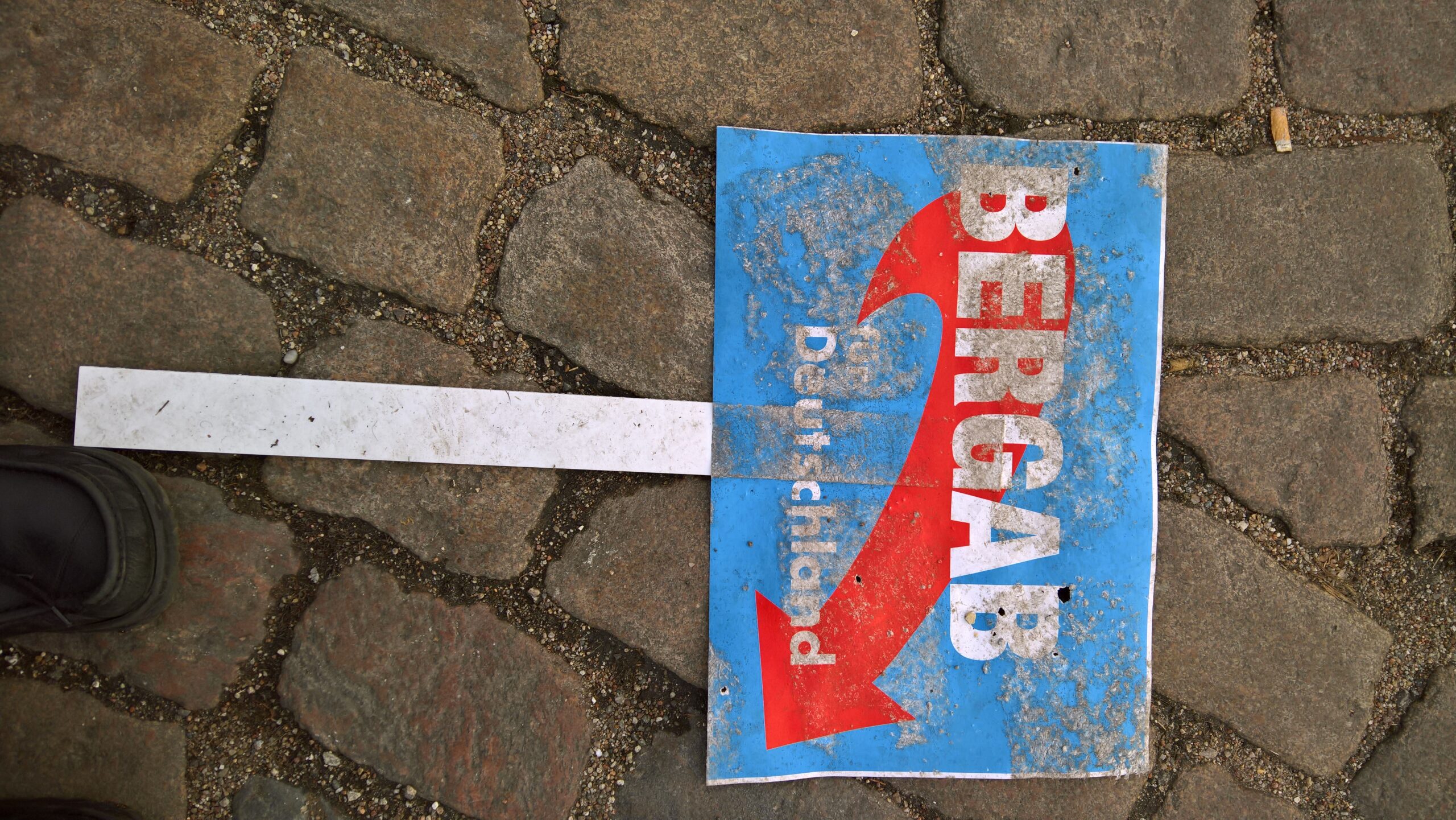 10 Jahre AfD Was haben wir gelernt? Das Progressive Zentrum